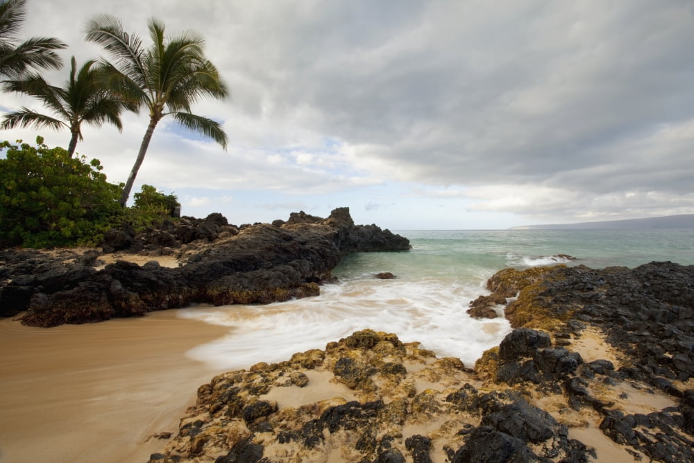 Hawaii Maui Makena Cove Tropical beach and palm trees Canvas Art - Jenna Szerlag  Design Pics (38 x 24)