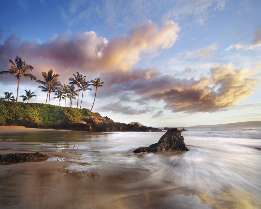 Hawaii Maui Makena Secret Beach At Sunset Canvas Art - M Swiet Productions Design Pics (38 x 30)