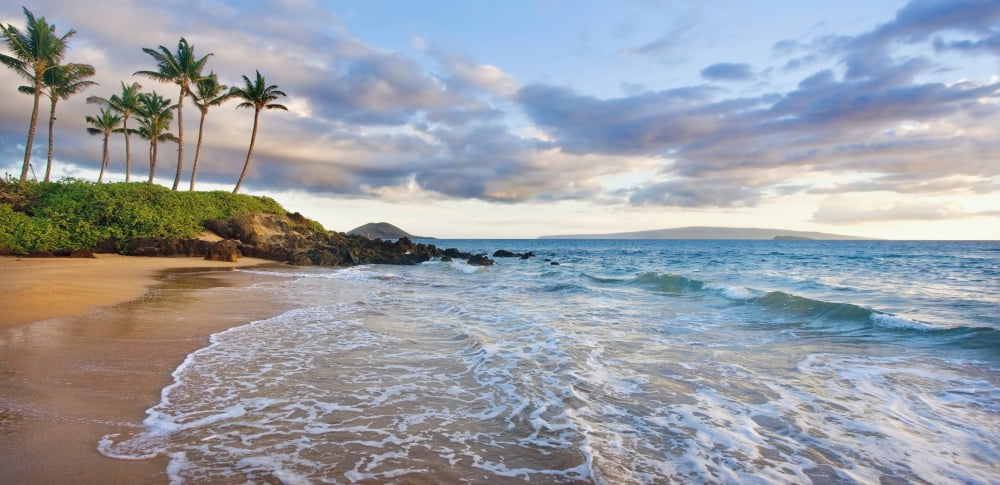 Hawaii Maui Makena Secret Beach At Sunset Canvas Art - M Swiet Productions Design Pics (44 x 21)