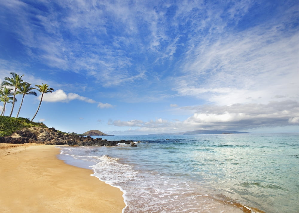 Hawaii Maui Makena Secret Beach Turquoise Ocean With Palm Trees And Sandy Beach Canvas Art - M Swiet Productions Design Pics (18 x 13)