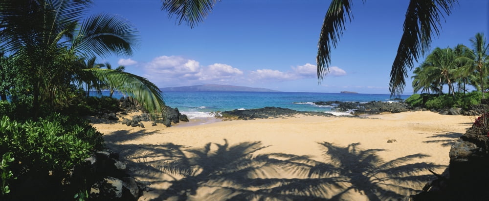Hawaii Maui Makena Small Secluded Beach Palm Shadows On Sand Rocky Shore Canvas Art - Ron Dahlquist Design Pics (24 x 9)