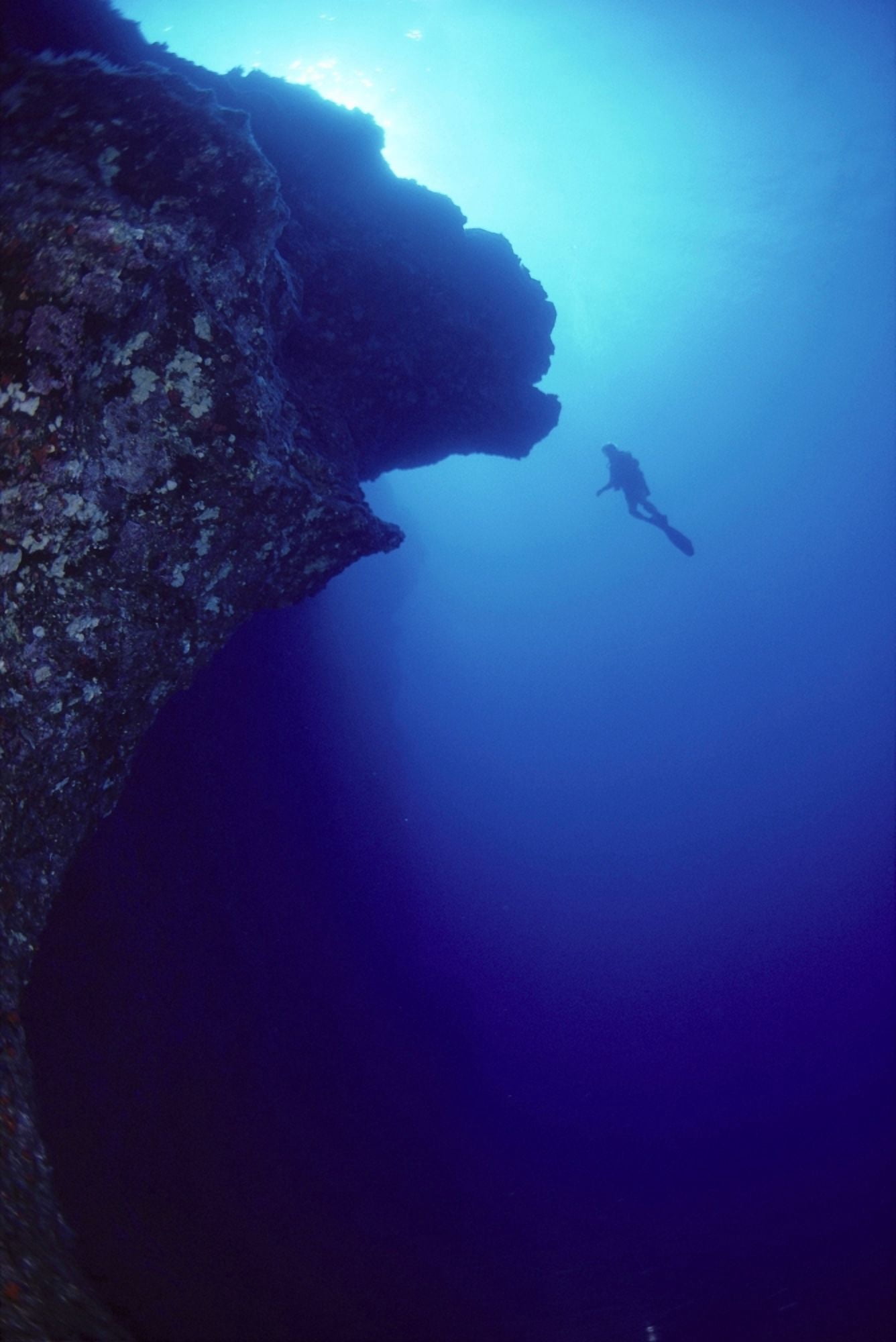 Hawaii Maui Molokini Diver In Distance Alongside Black Wall Silhouette A81G Canvas Art - Dave Fleetham Design Pics (24 x 38)