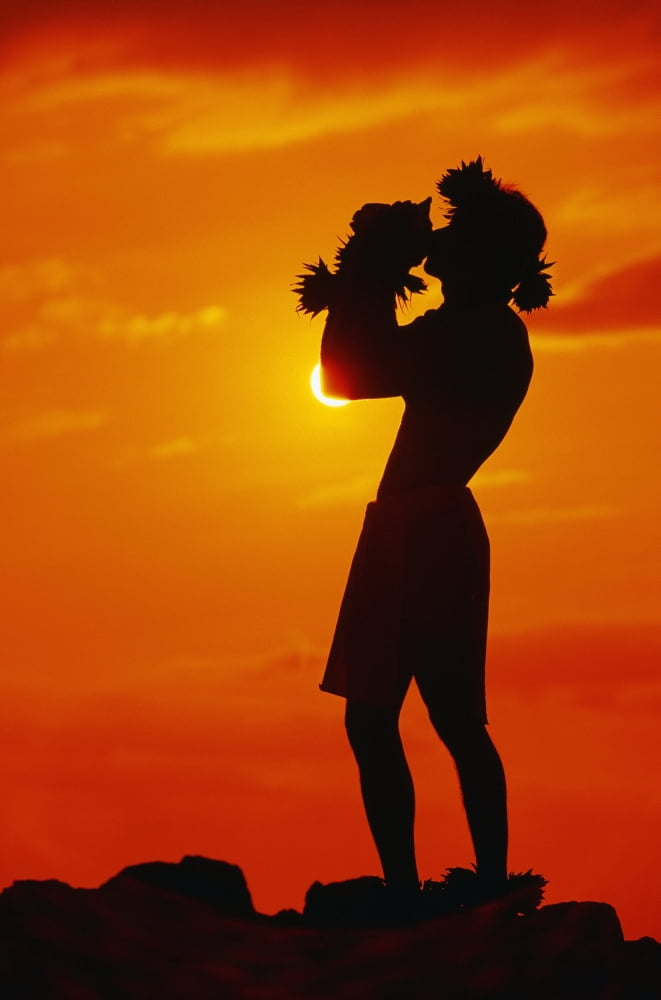 Hawaii Maui Napili Silhouette Of Man Blowing Conch Shell At Sunset Fiery Orange Sky Canvas Art - Ron Dahlquist Design Pics (24 x 38)