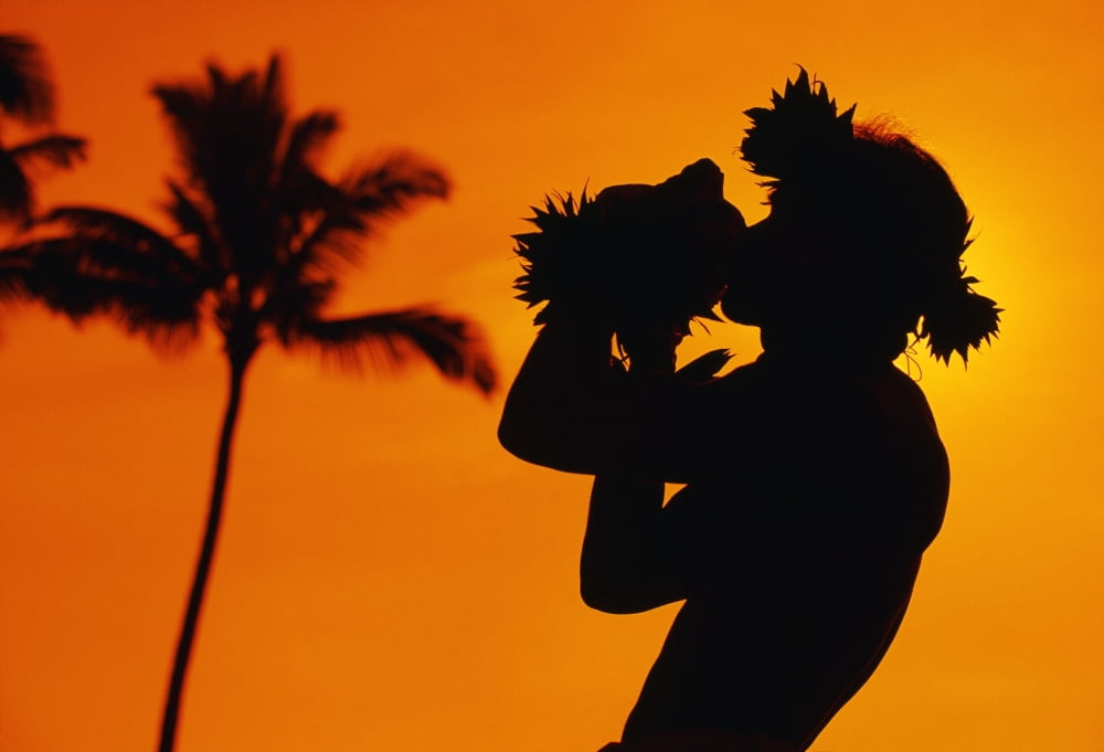 Hawaii Maui Napili Silhouette Of Man Blowing Conch Shell At Sunset Fiery Orange Sky Palm Tree Canvas Art - Ron Dahlquist Design Pics (36 x 24)