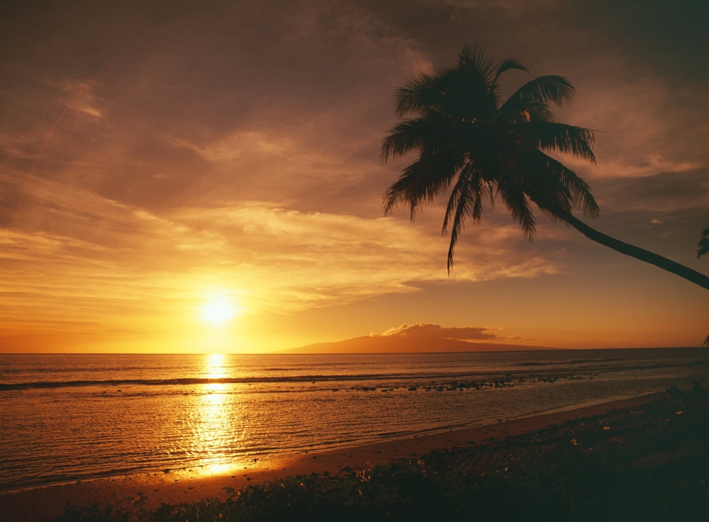Hawaii Maui Olowalu Palm Tree Silhouette At Sunset Lanai In The Distance Canvas Art - Ron Dahlquist Design Pics (18 x 13)