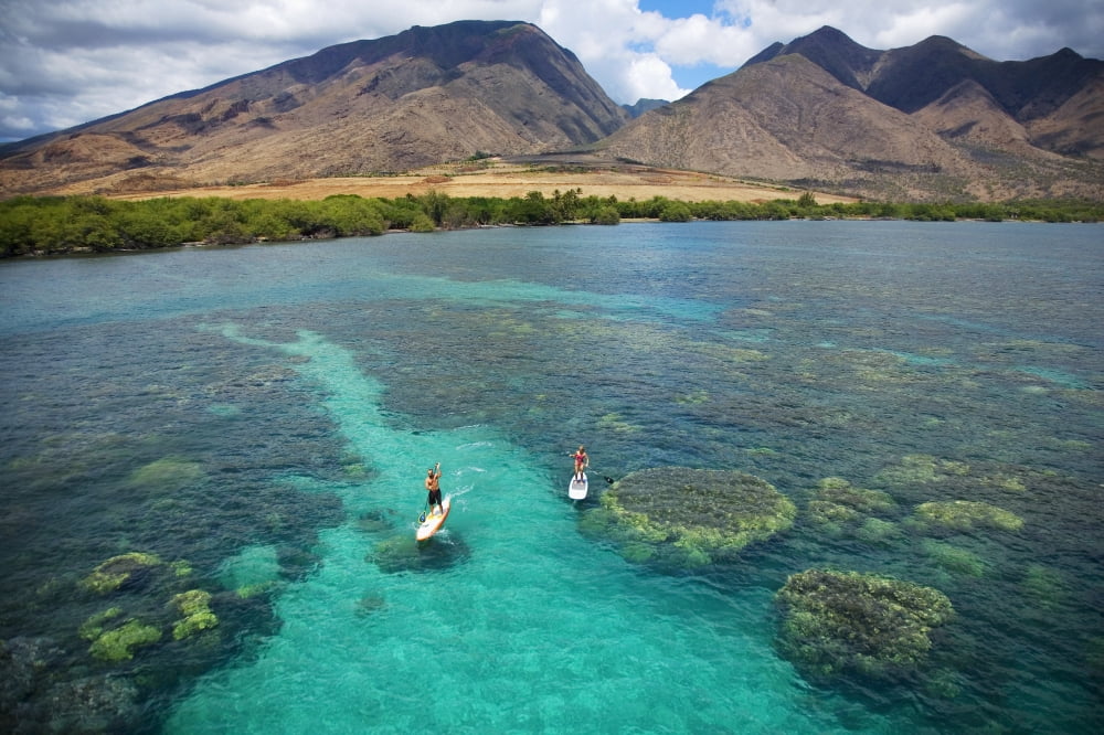 Hawaii Maui Olowalu Stand Up Paddling Canvas Art - Ron Dahlquist Design Pics (17 x 11)