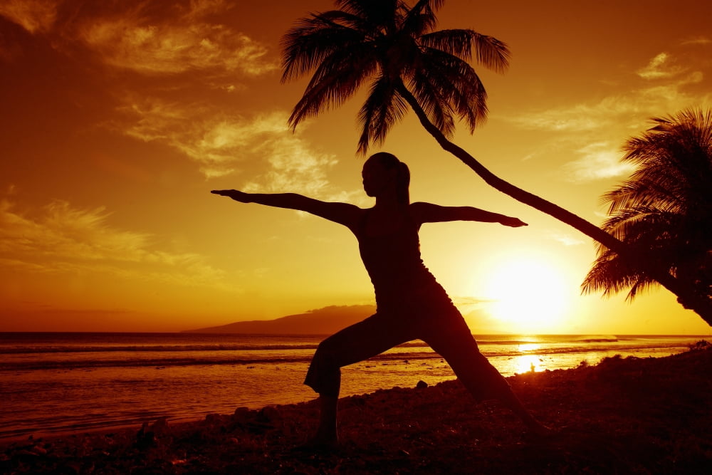 Hawaii Maui Olowalu Woman Doing Yoga By The Ocean At Sunset Under Palm Tree Canvas Art - Ron Dahlquist Design Pics (17 x 11)