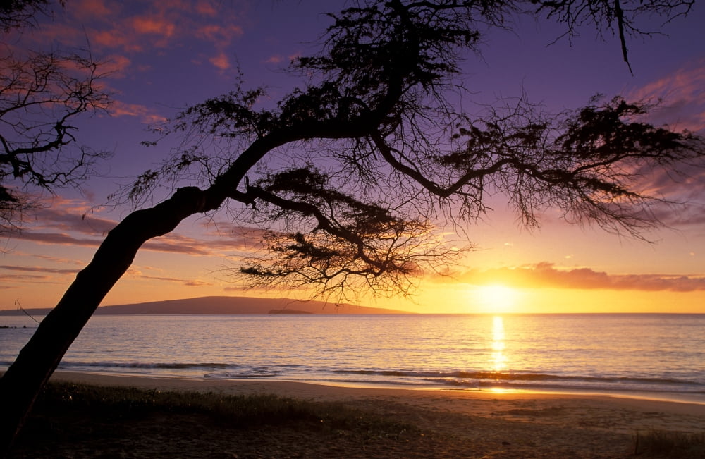 Hawaii Maui Palauea Beach Sunset With Hawaiian Island In Background Canvas Art - Ron Dahlquist Design Pics (17 x 11)