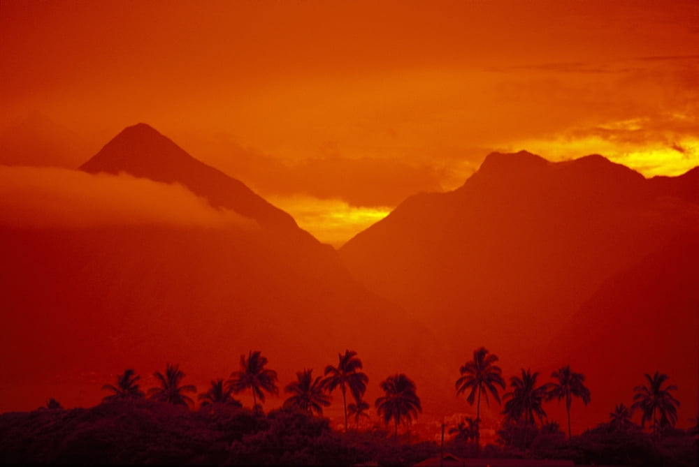 Hawaii Maui Palm Tree Silhouetted With West Maui Mountains Background Orange Filter Sky Canvas Art - Ron Dahlquist Design Pics (38 x 24)