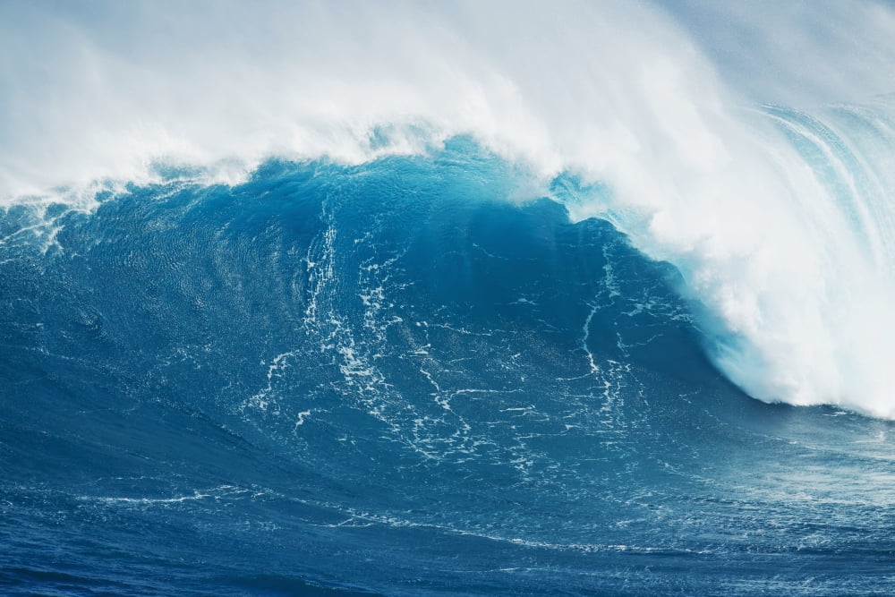 Hawaii Maui Peahi Large wave at the famous Peahi also known as Jaws Canvas Art - MakenaStockMedia Design Pics (19 x 12)