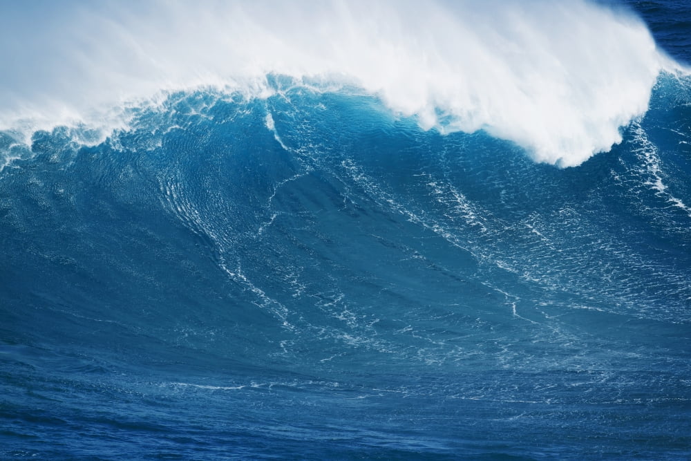 Hawaii Maui Peahi Large wave at the famous Peahi also known as Jaws Canvas Art - MakenaStockMedia Design Pics (38 x 24)