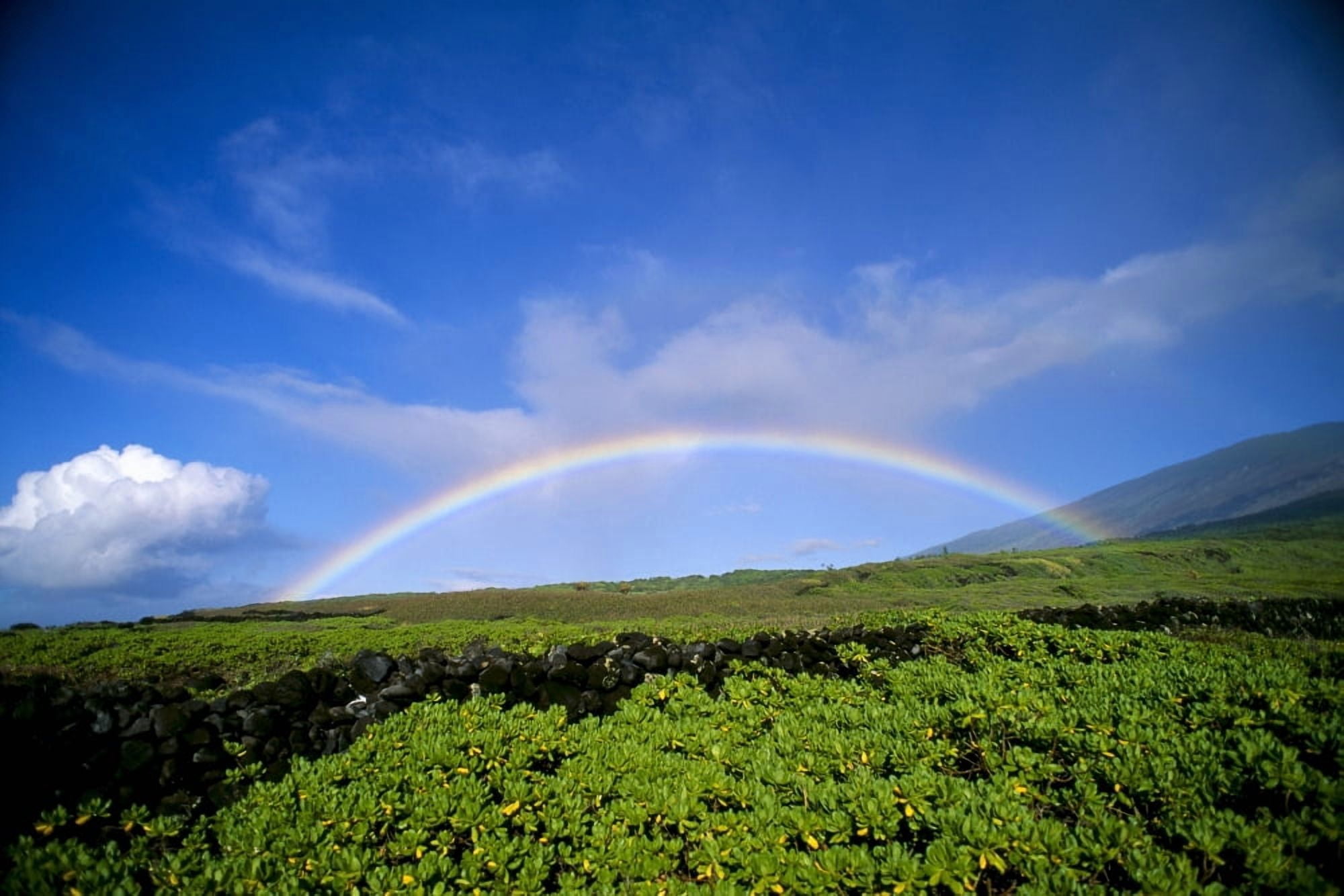 Hawaii Maui Rainbow Over Kaupo B1453 Canvas Art - Ray Mains Design Pics (19 x 12)