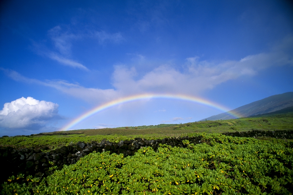 Hawaii Maui Rainbow Over Kaupo B1453 Canvas Art - Ray Mains Design Pics (38 x 24)