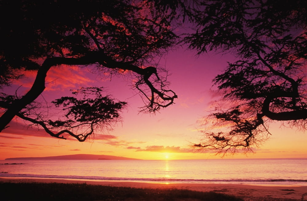 Hawaii Maui Sunset At Palauea Beach Canvas Art - Ron Dahlquist Design Pics (34 x 22)