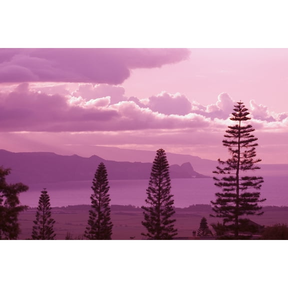 Hawaii Maui Sunset Looking Toward Kahakuloa Pine Trees In Foreground Canvas Art - Ron Dahlquist Design Pics (18 x 12)