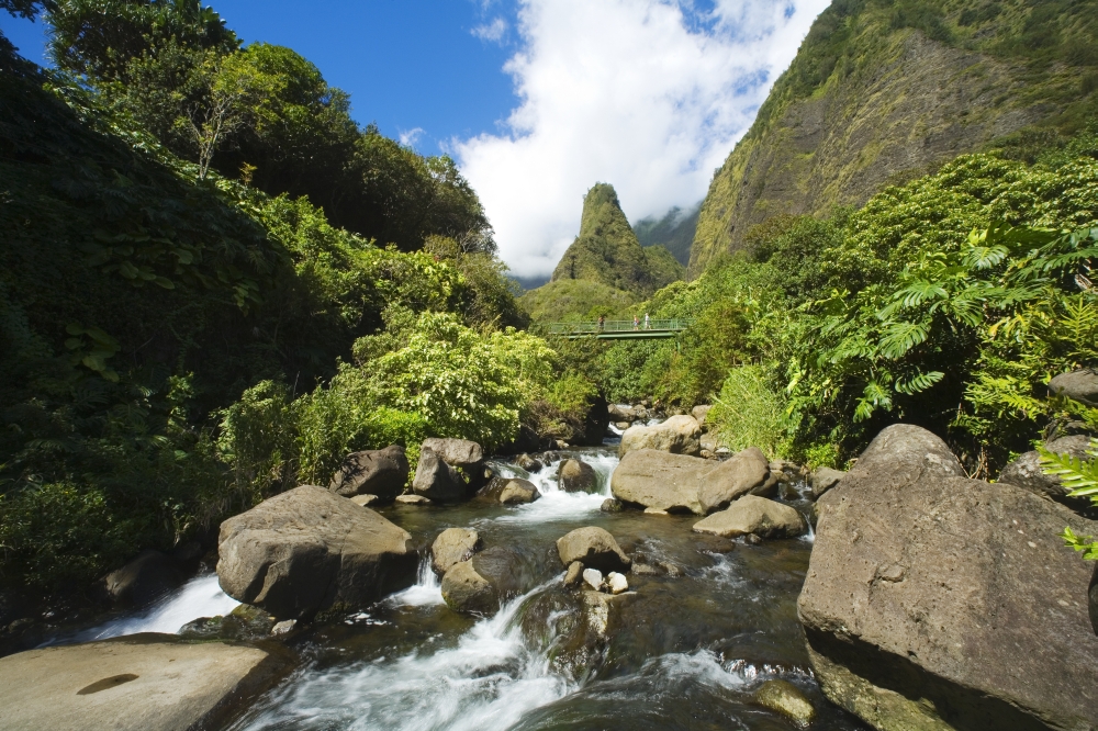 Hawaii Maui View Of Iao Needle With Stream Blue Sky Clouds Canvas Art - Ron Dahlquist Design Pics (17 x 11)