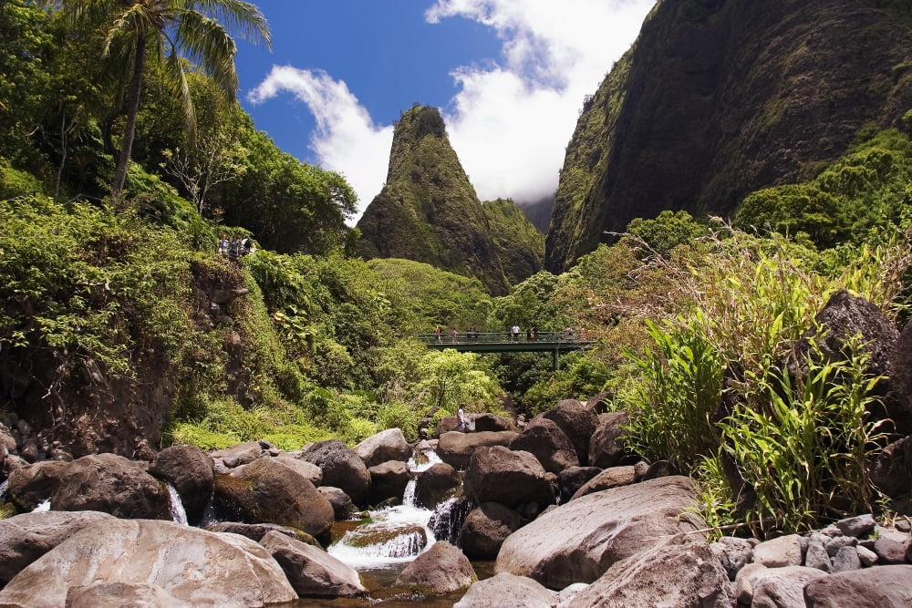 Hawaii Maui View Of Iao Needle With Stream Blue Sky Clouds Canvas Art - Ron Dahlquist Design Pics (18 x 12)
