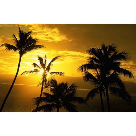 Hawaii, Maui, View Of Palm Tree Tops, Orange Sunset In Background, Ocean Poster Print (34 x 22)