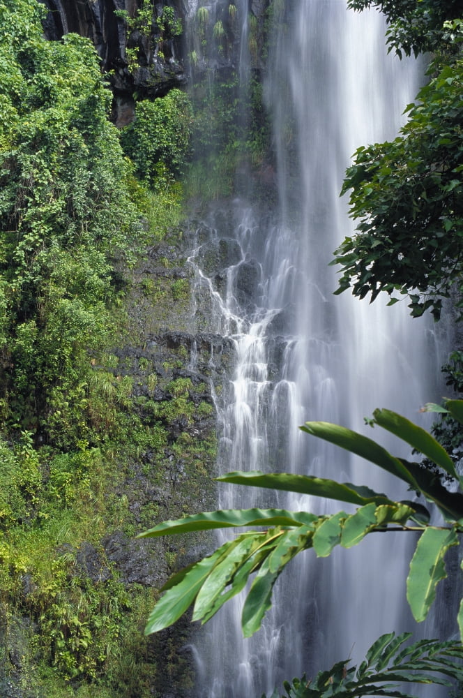 Hawaii Maui Wailea Falls Action Water Flow Greenery Side Angle Canvas Art - Ron Dahlquist Design Pics (12 x 19)