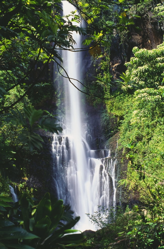 Hawaii Maui Wailua Falls Valley One Large Fall And A Few Smaller Ones Canvas Art - Peter French Design Pics (24 x 38)