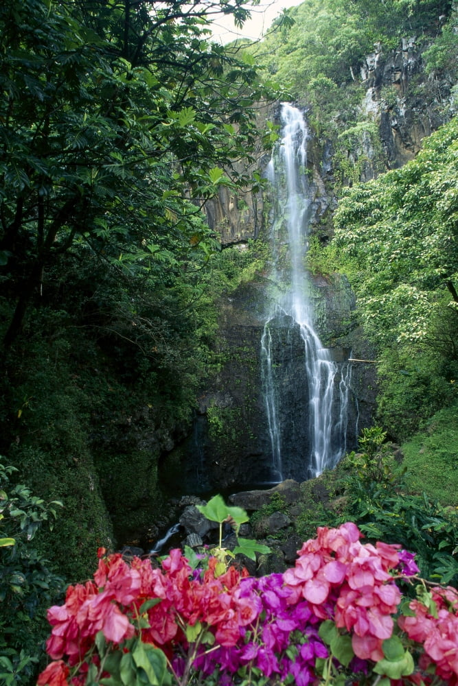 Hawaii Maui Wailua Waterfall And Rainforest Bougainvillea In Foreground B1605 Canvas Art - Dave Fleetham Design Pics (24 x 38)