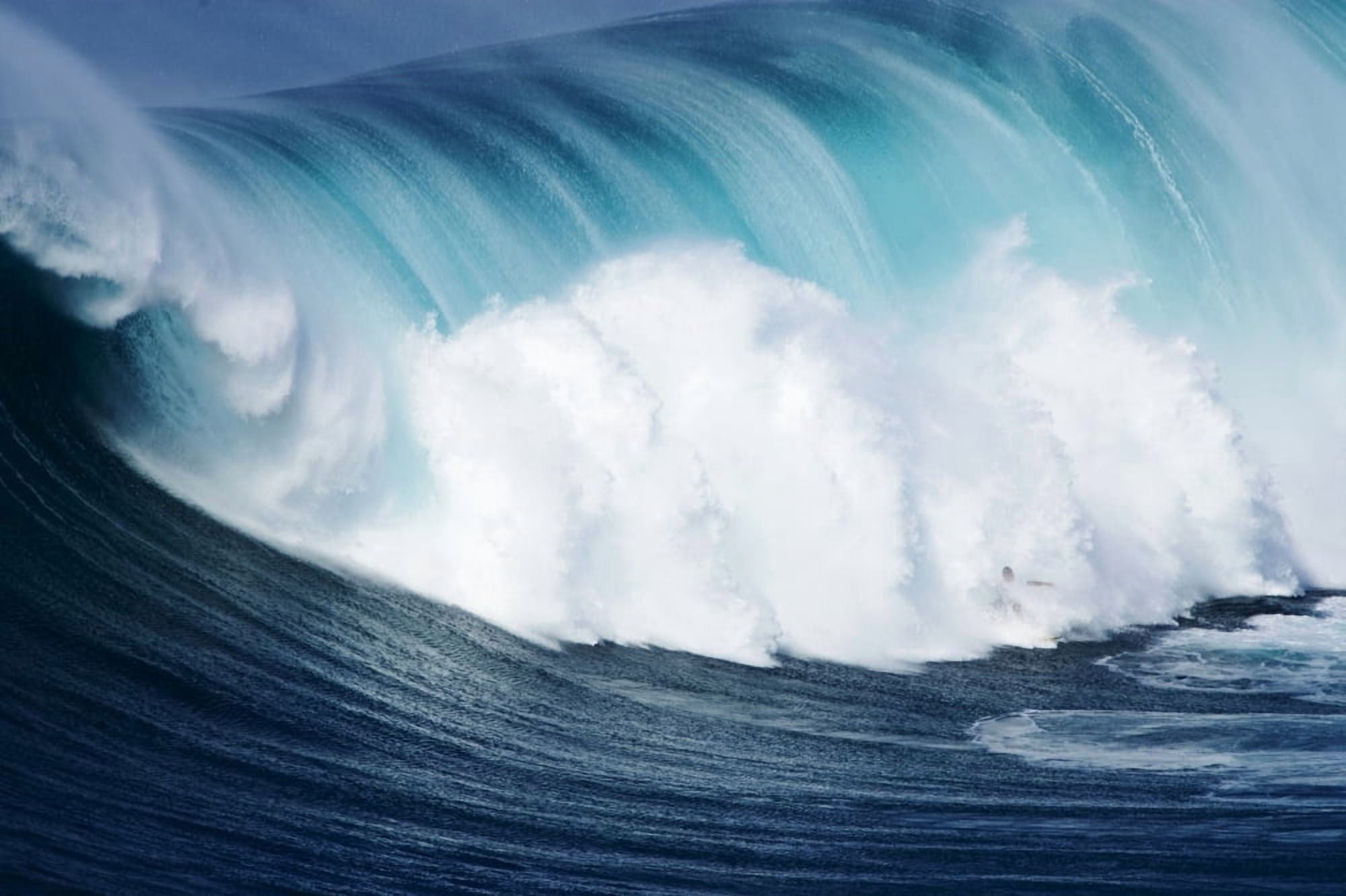 Hawaii Maui Yuri Farrant Surfs Huge Wave At Jaws Aka Peahi Canvas Art - Ron Dahlquist Design Pics (17 x 11)