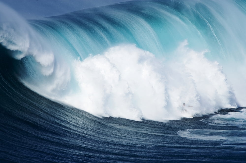 Hawaii Maui Yuri Farrant Surfs Huge Wave At Jaws Aka Peahi Canvas Art - Ron Dahlquist Design Pics (34 x 22)