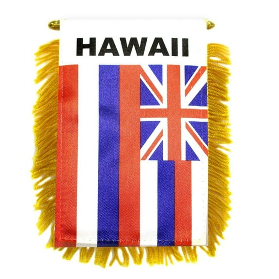 Hawaii Mini Banner