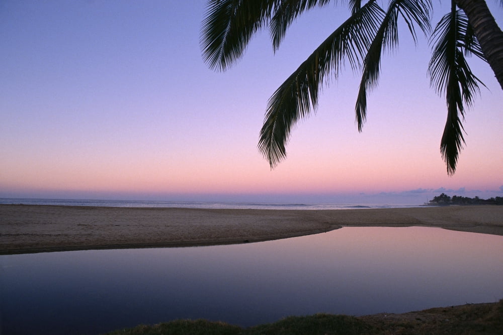 Hawaii Mirror Like Tide Pool Near Ocean Palm Tree Fronds Lavender Hued Dusk A32G Canvas Art - Peter French Design Pics (19 x 12)