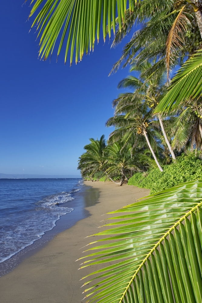 Hawaii Molokai A Small Deserted Beach On The South Shore Lanai In The Background Canvas Art - Dave Fleetham Design Pics (22 x 34)