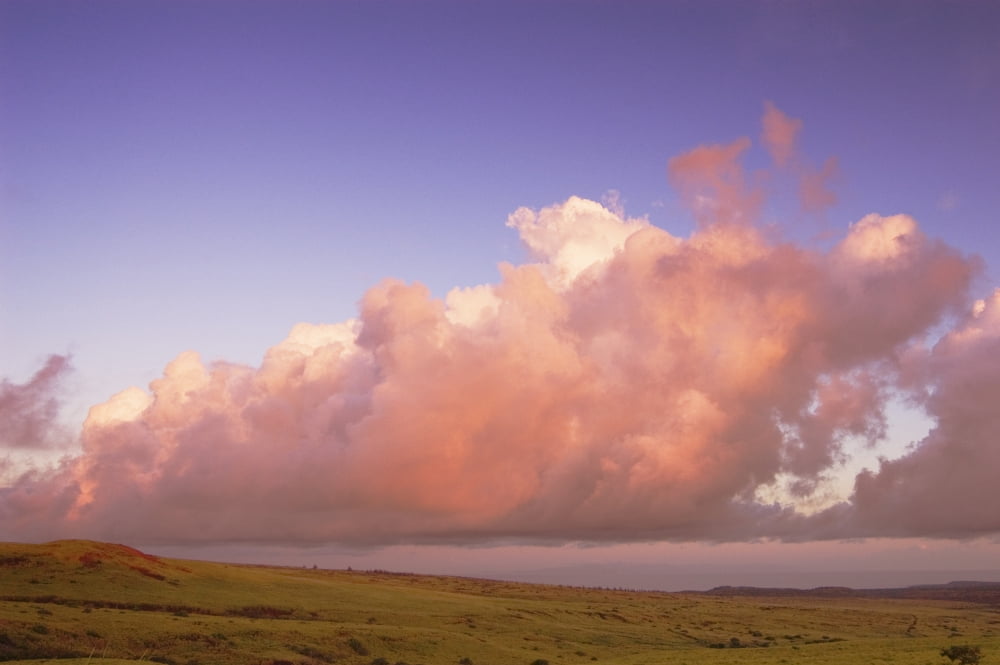 Hawaii Molokai Maunaloa Molokai Ranch Pink Clouds Over Pasture At Sunrise Canvas Art - Greg Vaughn Design Pics (34 x 22)