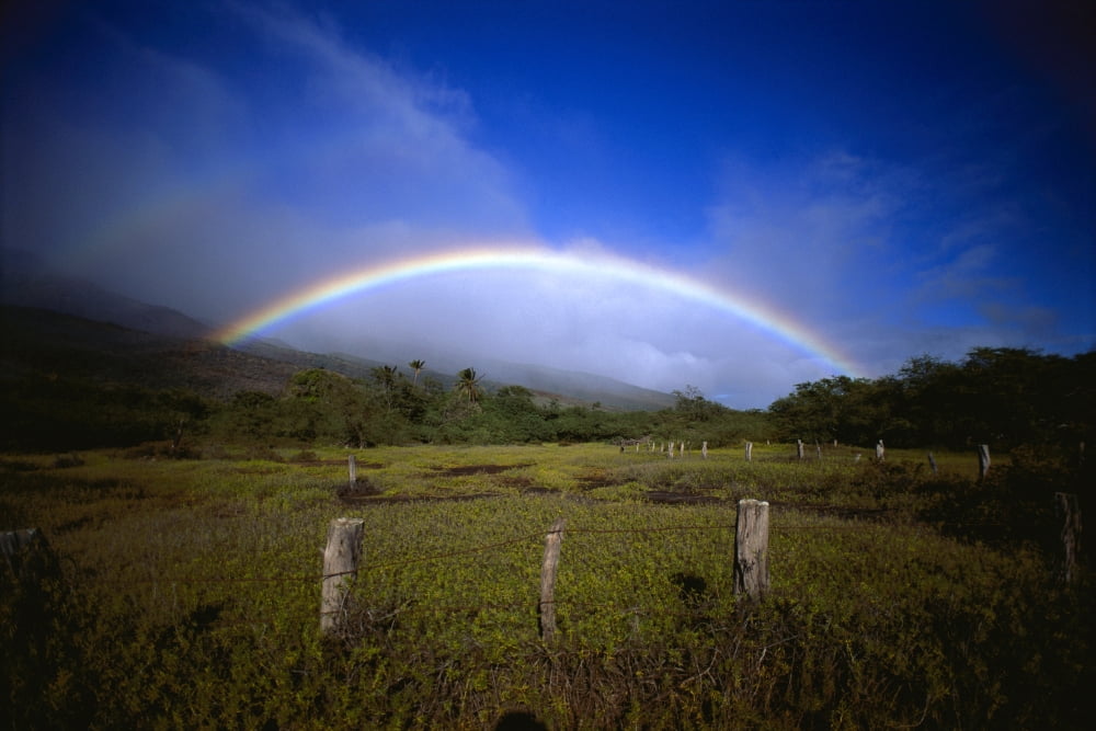 Hawaii Molokai Rainbow Over Green Ranch Land Canvas Art - Allan Seiden Design Pics (19 x 12)