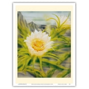 Hawaii Night Blooming Cereus Hylocereus Undatus - Honolulu Queen of the Night - Vintage Hawaiian Airbrush Art by Ted Mundorff c.1940s - Master Art Print Unframed 9in x 12in