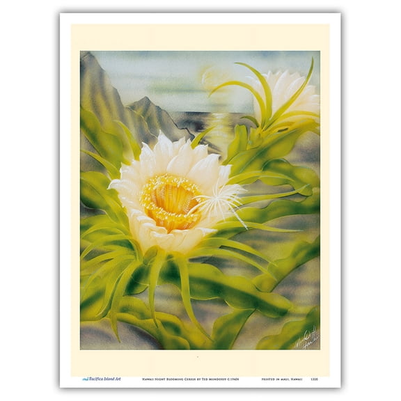 Hawaii Night Blooming Cereus (Hylocereus Undatus) - Honolulu Queen of the Night - Vintage Hawaiian Airbrush Art by Ted Mundorff c.1940s - Master Art Print (Unframed) 9in x 12in