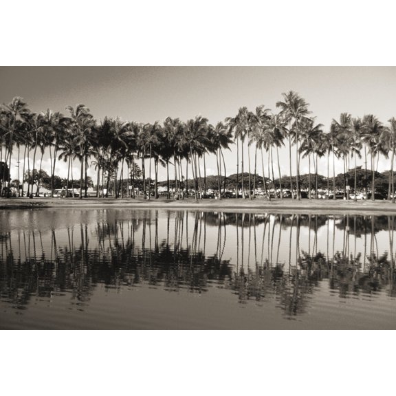 Hawaii Oahu Ala Moana Beach Park Line Of Palm Trees And Reflections In Pond