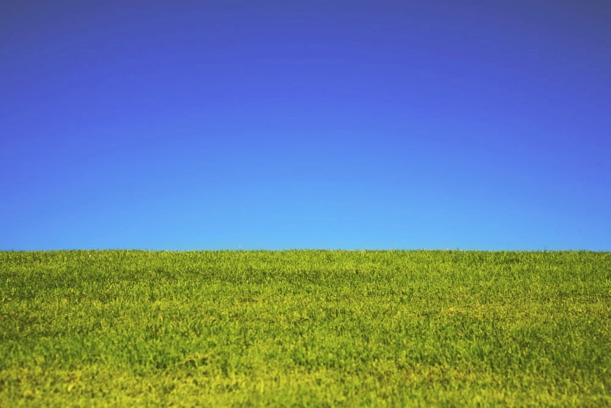 Hawaii Oahu Beautiful Landscape Of Green Grass And A Blue Sky Canvas Art - Brandon Tabiolo Design Pics (18 x 12)