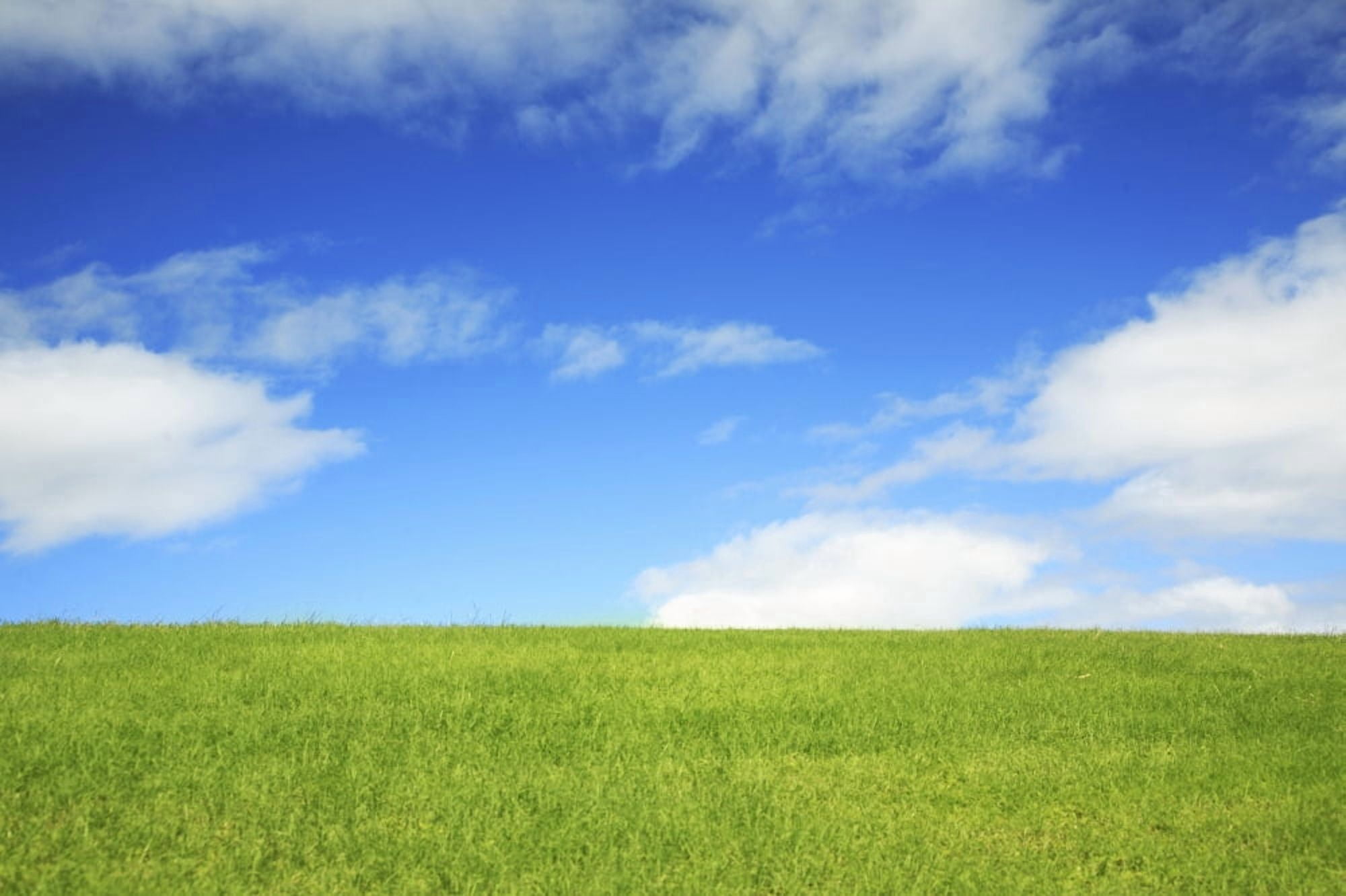 Hawaii Oahu Beautiful Landscape Of Green Grass And A Blue Sky Canvas Art - Brandon Tabiolo Design Pics (34 x 22)