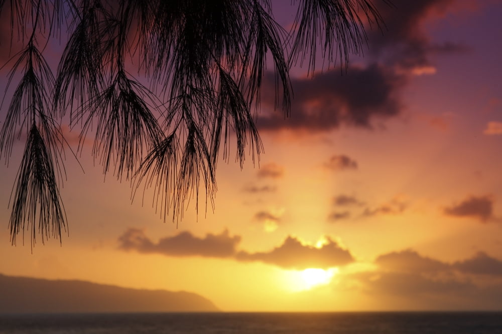 Hawaii Oahu Beautiful Sunset Canvas Art - Vince Cavataio Design Pics (38 x 24)