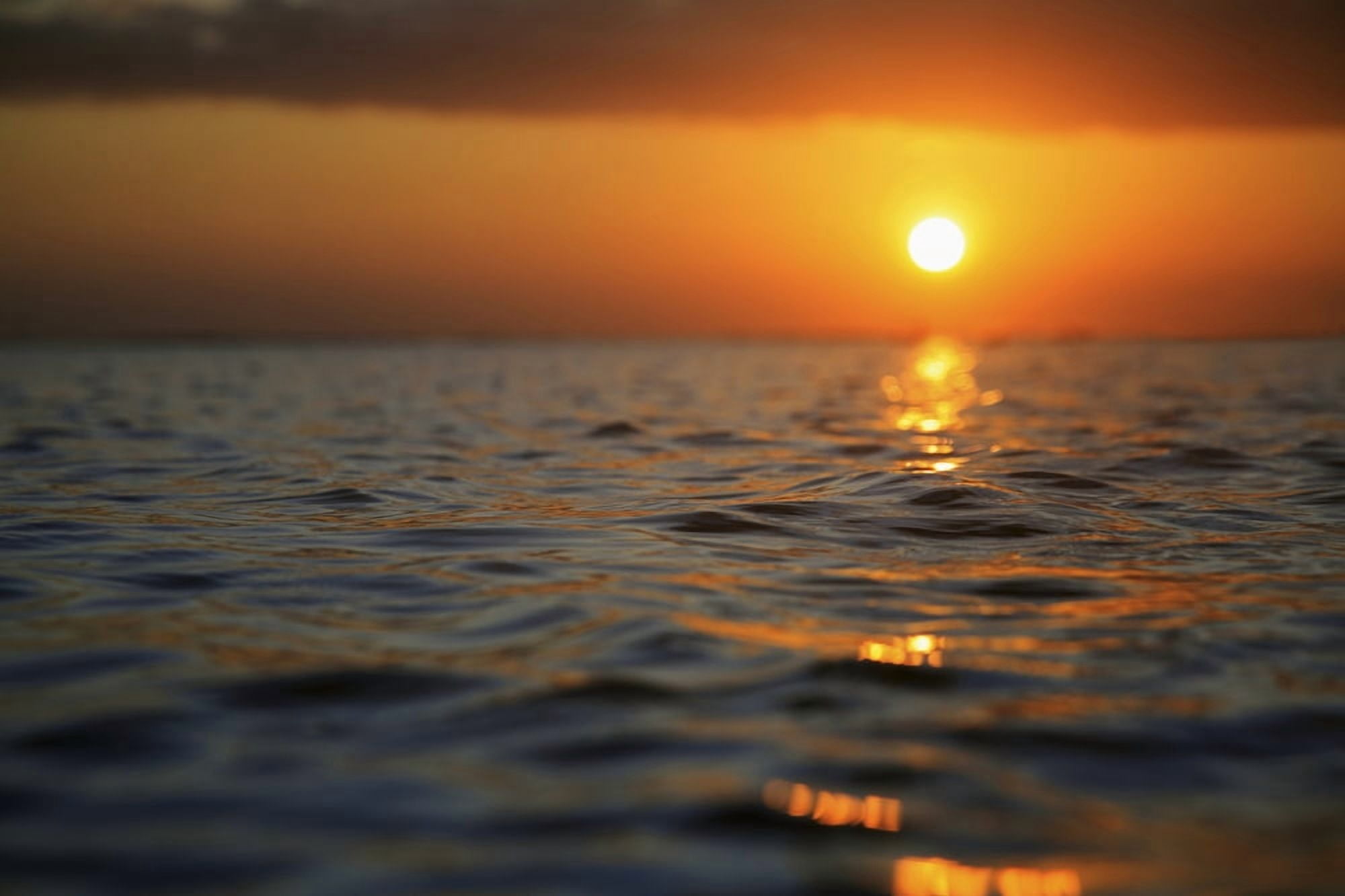 Hawaii Oahu Beautiful Sunset Over The Ocean Canvas Art - Brandon Tabiolo Design Pics (17 x 11)