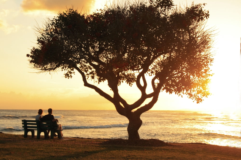 Hawaii Oahu Beautiful Sunset Over The Ocean With A Couple Sitting On A Bench Canvas Art - Brandon Tabiolo Design Pics (34 x 22)