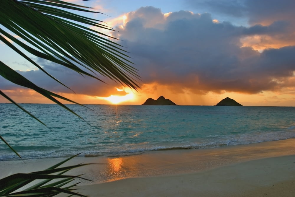 Hawaii Oahu Dramatic Sunrise At Lanikai Beach Mokulua Islands Palm Frond Canvas Art - Tomas del Amo Design Pics (38 x 24)