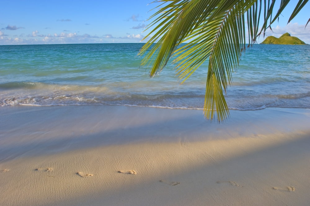 Hawaii Oahu Footprints In The Sand At Lanikai Beach Palm Frond And Mokulua Islands Canvas Art - Tomas del Amo Design Pics (34 x 22)