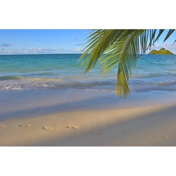 Hawaii Oahu Footprints In The Sand At Lanikai Beach Palm Frond And Mokulua Islands Poster Print
