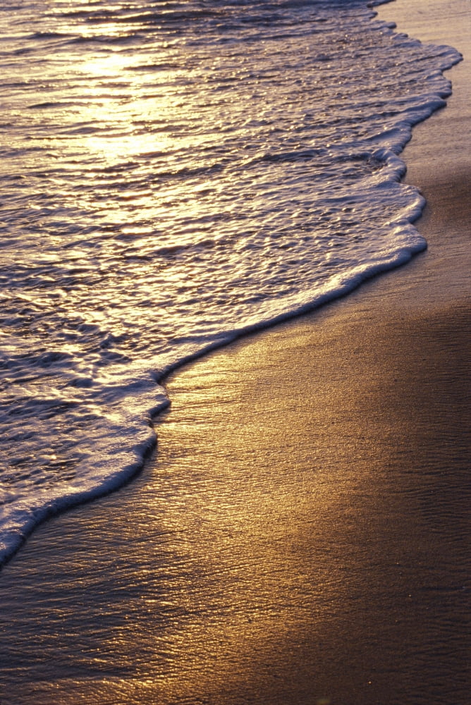 Hawaii Oahu Golden Sunset Reflections On Ocean Shoreline And Sand Foamy Detail Receding Canvas Art - Bill Brennan Design Pics (12 x 19)