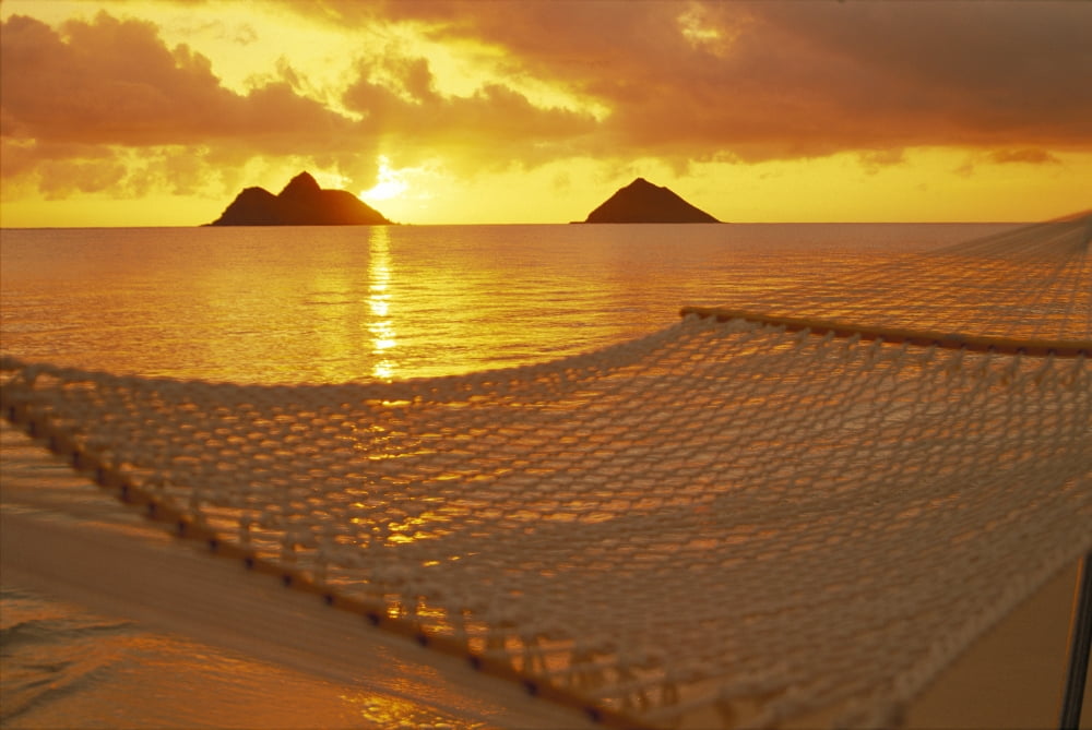 Hawaii Oahu Hammock Along Shoreline Sunrise Mokulua Islands Distance Golden Light Canvas Art - Dana Edmunds  Design Pics (19 x 12)