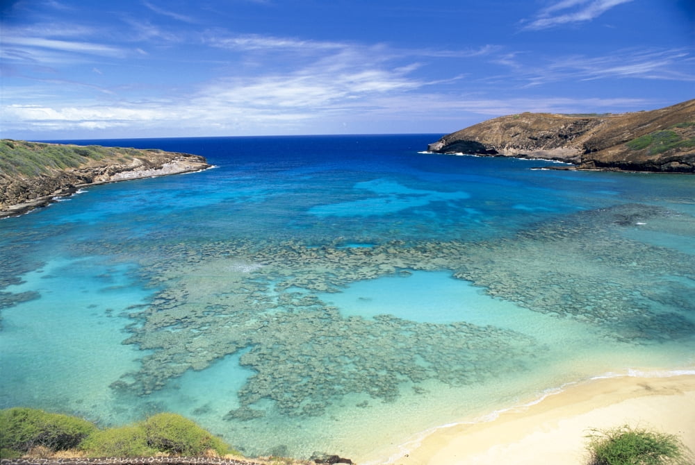 Hawaii Oahu Hanauma Bay State Park View From Above Looking Into Coral Waters Canvas Art - Peter French  Design Pics (38 x 24)