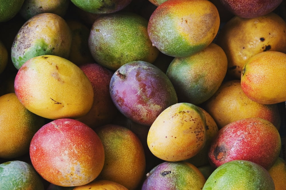 Hawaii Oahu Honolulu Fresh Ripe Mangoes For Sale At Chinatown Market Stall Canvas Art - Greg Vaughn Design Pics (36 x 22)