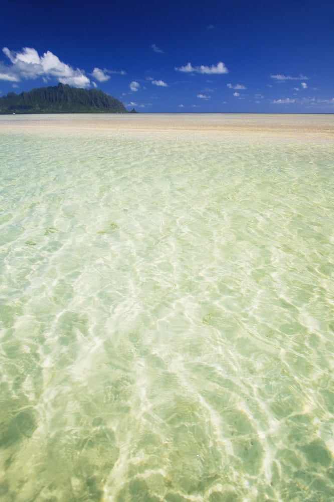 Hawaii Oahu Kaneohe Sandbar With Kualoa In The Back Ground Canvas Art - Tomas del Amo Design Pics (24 x 38)