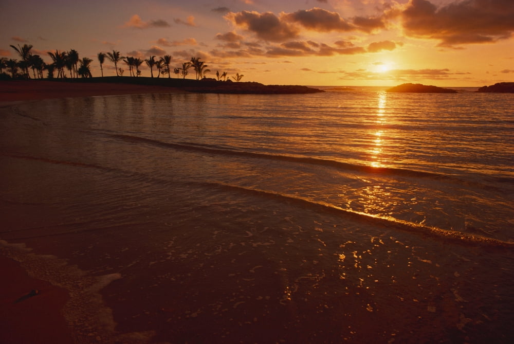 Hawaii Oahu Koolina Resort Sunset Over Ocean Palm Trees Canvas Art - Dana Edmunds Design Pics (38 x 24)