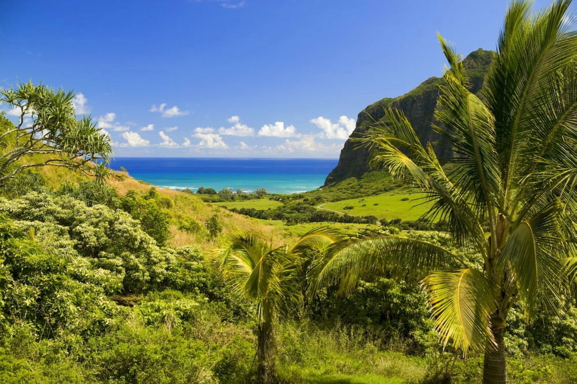 Hawaii Oahu Kualoa Ranch Mountains And Ocean In Distance Canvas Art - Dana Edmunds  Design Pics (36 x 24)